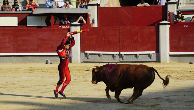 血腥惨烈!史上最疯狂的猛女斗牛士,不是牛死就是我亡!
