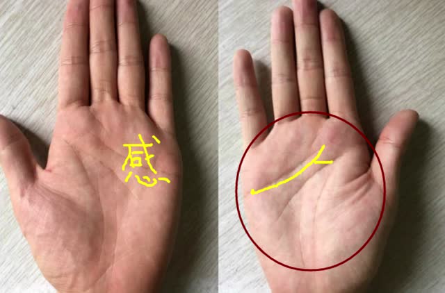 手相感情线分叉至智慧线,感情绝对出问题