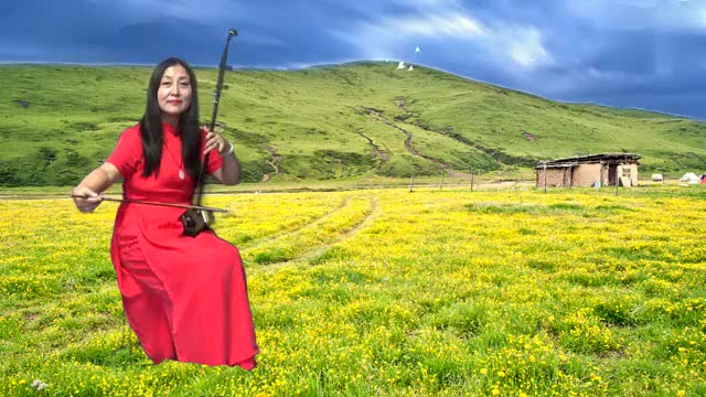 二胡独奏《陪你一起看草原》马丹二胡