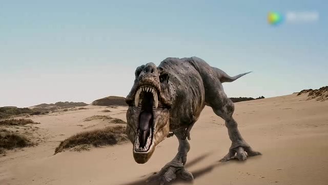 有一种恐龙霸王龙都打不过它,它全身都是盔甲的多智龙