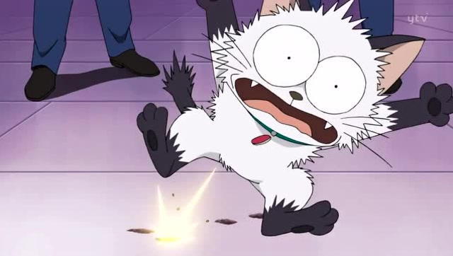 怪盗基德:公主大人的小猫跑了,居然用枪赶,看把小猫吓得