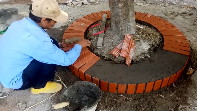 瓦片和水泥工作,在树附近建立圆砖的技术