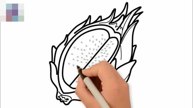 趣味早教孩子成长 儿童简笔画教学火龙果图案