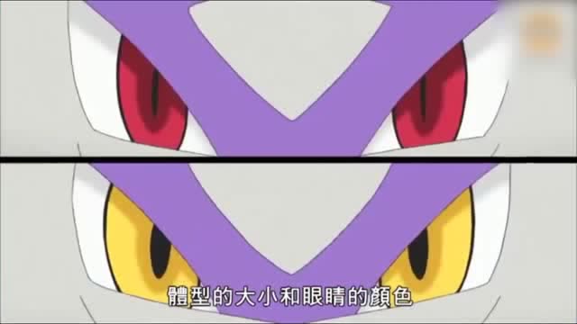 神奇宝贝,拉帝亚斯和拉帝欧斯的超进化,外表完全一样!