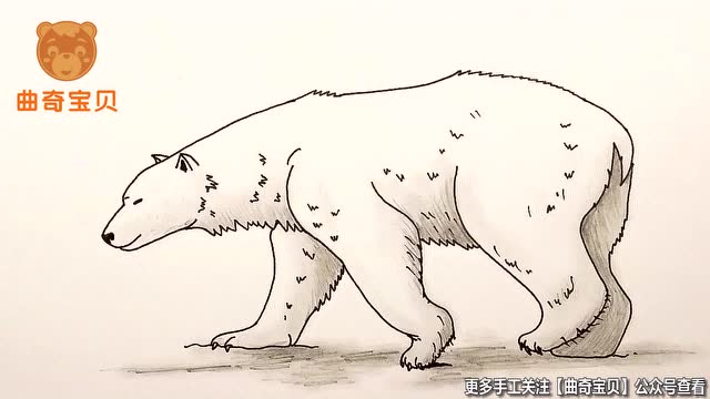 北极熊简笔画视频教程
