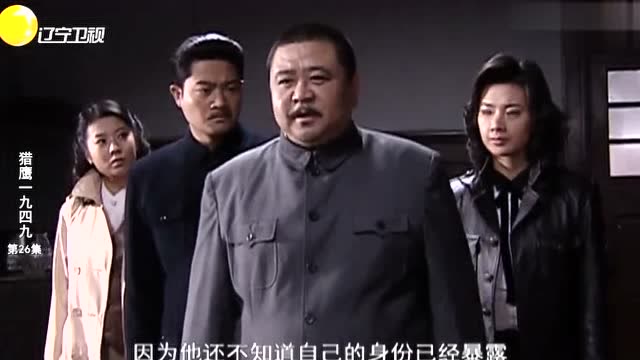 林玉仙燕双鹰