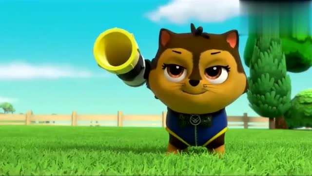 汪汪队立大功全集:汪汪队猫咪队才艺大比拼,汪汪们惨败啊