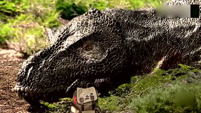 安迪的恐龙冒险:暴龙竟然吃三明治不吃人,这暴龙有点蠢啊