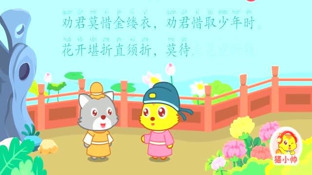 猫小帅古诗金缕衣珍惜时光追逐梦想吧