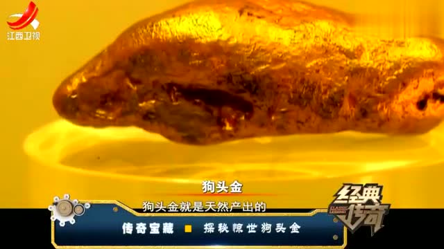 农民发现了"狗头金王"!纯度之高超越大部分普通狗头金!