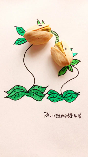 开心果配合简笔画创意无限,快来学习吧!