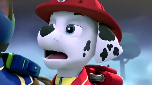 汪汪队立大功:调皮捣蛋猫咪大队偷走武功秘籍,汪汪队却拿不回来