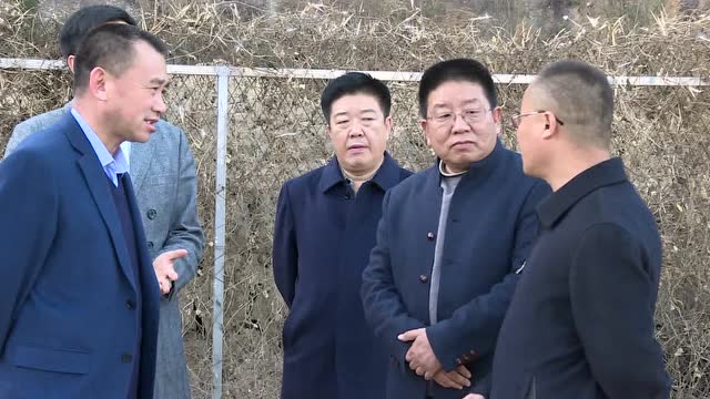 武新亮在高洪口乡现代农业示范园区调研