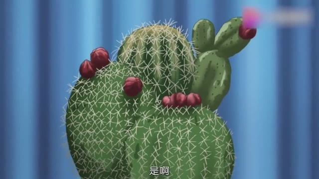 新网球王子:幸村和不二君的植物很茂盛,而枕头大战殃及裕太君