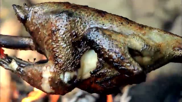 户外美食:小孩有口福了,一个人烤了一整只乌鸡,不要太羡慕!