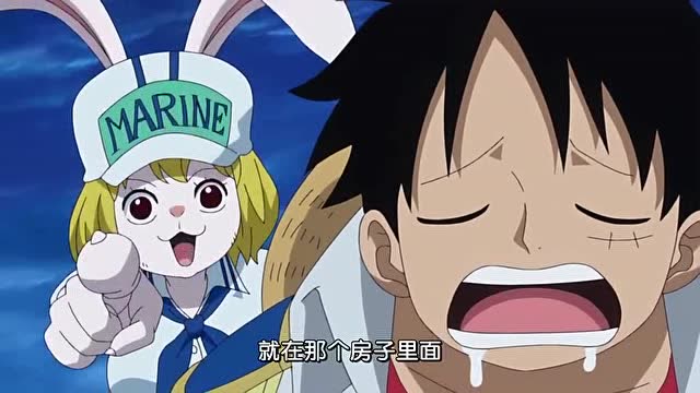 《海贼王》路飞和加洛特凭着闻到走到小岛总部去