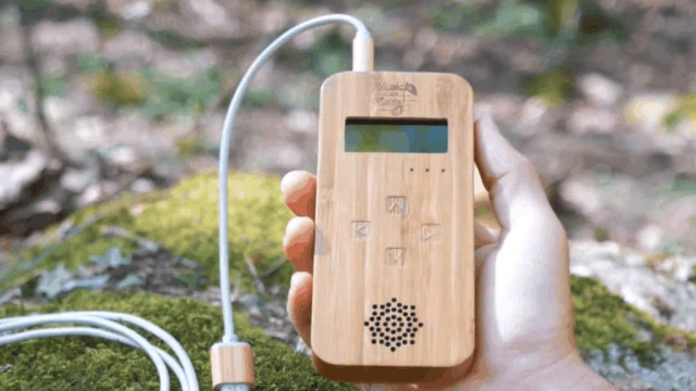 一款新奇的发声器,不仅能让植物发出声音,还可以让它们开口唱歌
