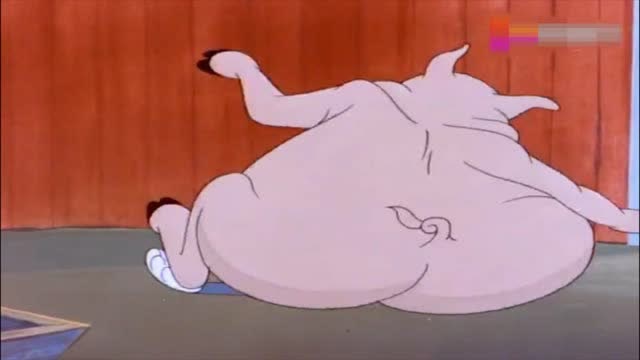 猫和老鼠:汤姆开枪打猪,最后惨遭猪压顶,都变形了!