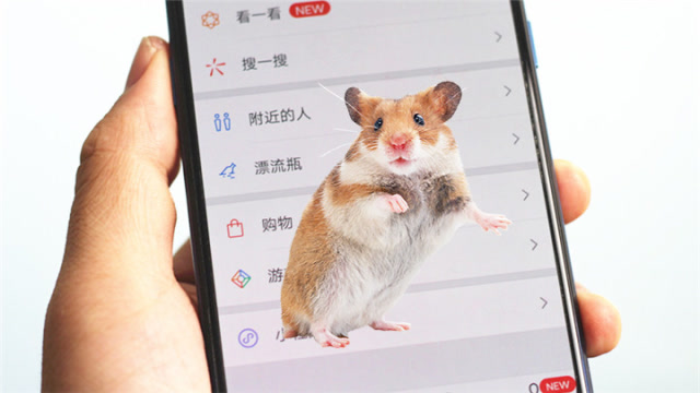 微信老鼠吃大象的游戏叫什么_吃老鼠小视频_微信吃老鼠的小视频