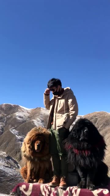 要什么小奶狗,要做就做大狼狗,这样你要的安全感,我们仨都有,安排