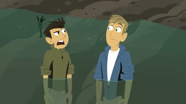 动物兄弟:马丁克里斯尝试水上行走,每次都以失败告终