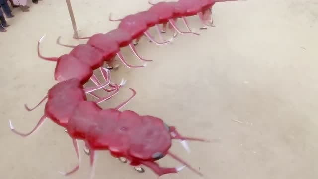 黄飞鸿之铁鸡斗蜈蚣:舞狮大会,意外出现一只大蜈蚣,小伙不好对付