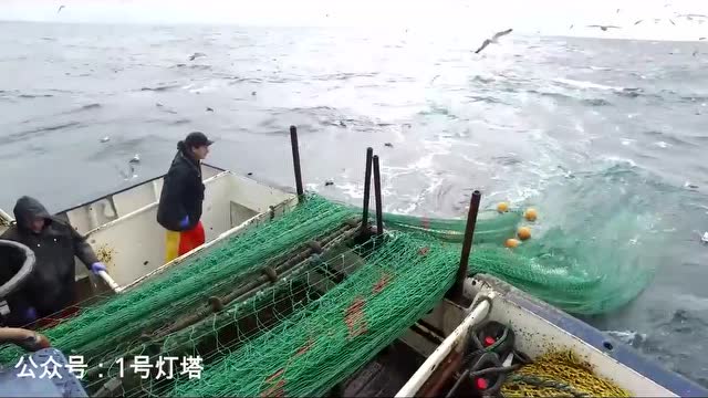 高清实拍北海拖网渔船作业
