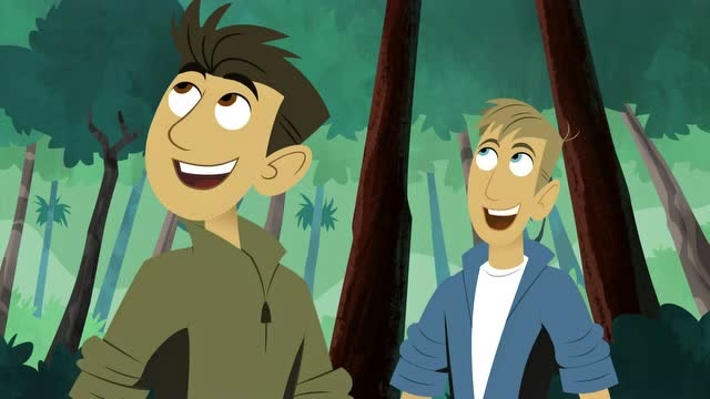 动物兄弟:克里斯和马丁发现橙色东线闪过,爬上树查看究竟