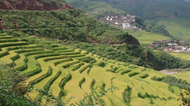 楚雄大姚县三岔河镇