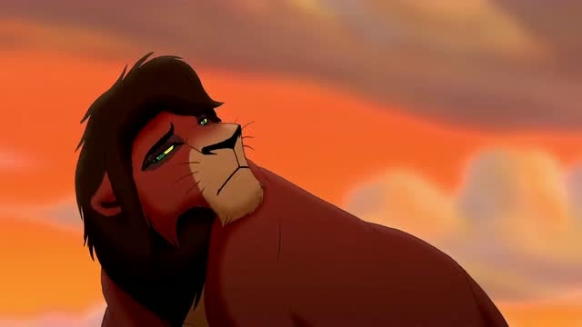 狮子王辛巴:曾经的狮子王,现在却到了无家可归的地步了!