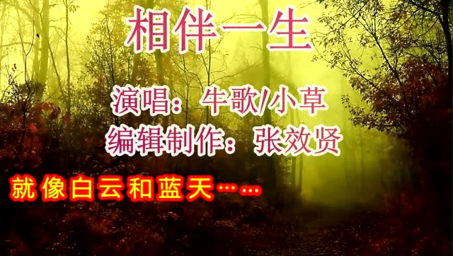 牛歌和小草演唱的相伴一生好听而且感人值得观赏