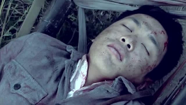 雪豹坚强岁月周卫国身受重伤昏迷不醒陈怡将其救下带走