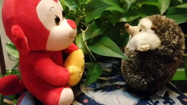 小猴子和小刺猬的秘密通道
