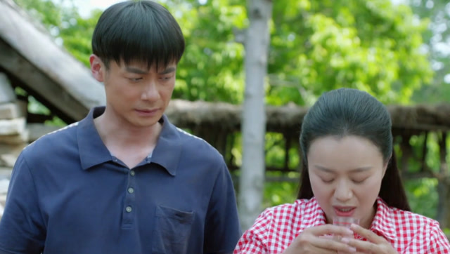 兰桐花开大结局秉恒王大翠成亲陈新豫顾雅玲领证