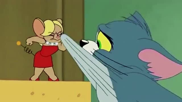 猫和老鼠:汤姆猫居然被新来的老鼠欺负了