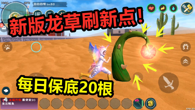 创造与魔法:新版龙草的100个刷新点!轻松做到每天保底20根