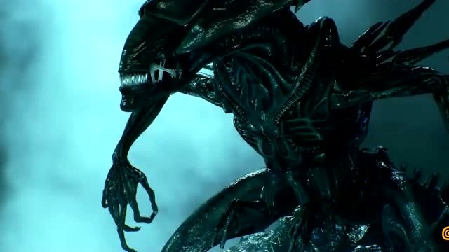 异形皇后全身细节动画,真够威武霸气的,终于可以仔细观摩了!
