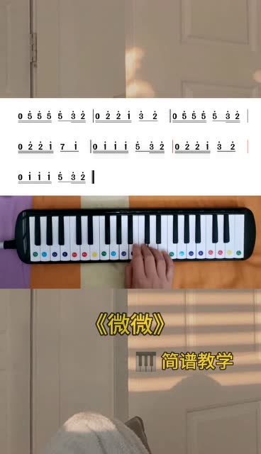 口风琴版的温柔神曲微微来啦快跟木木学起来吧