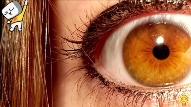 世界上罕见的眼睛顏色之橙黄色,野兽一般的眼睛!