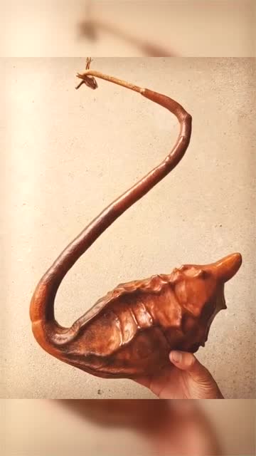 来自云南绝版的真正鹤首老葫芦,颜色黑红,筋牙突出,造型很张扬