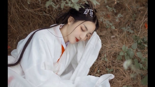 上门龙婿叶辰萧初然电视剧30集