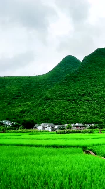 一片青山和绿草,山下一栋栋房子,安静祥和,像画一样美丽!