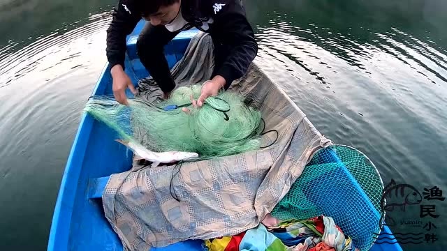 小韩收网收到一半,发生了什么?又开船回家里