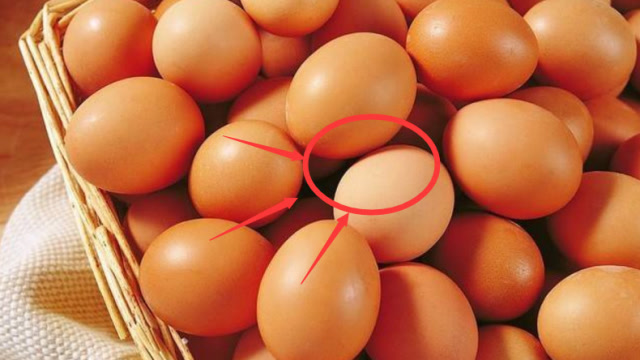 红皮鸡蛋比白皮鸡蛋更有营养?区别在哪?原来都买错了