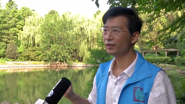 罗青松:护航绿色生态 守望鸟类天堂