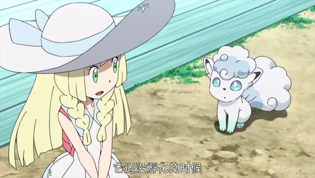 精灵宝可梦:莉莉艾今天要走路回家,和她的宝可梦六尾多多相处!