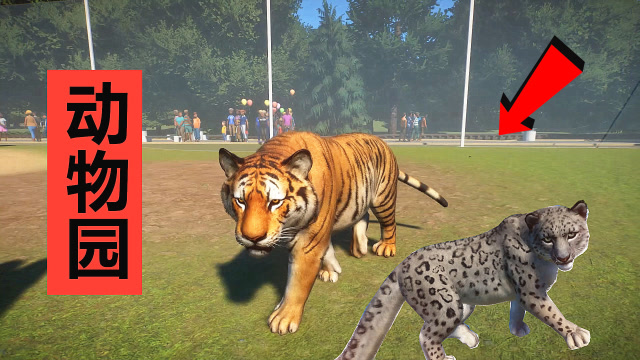 动物园2:增加凶猛的大老虎,第一次看到雪豹表演爬树!