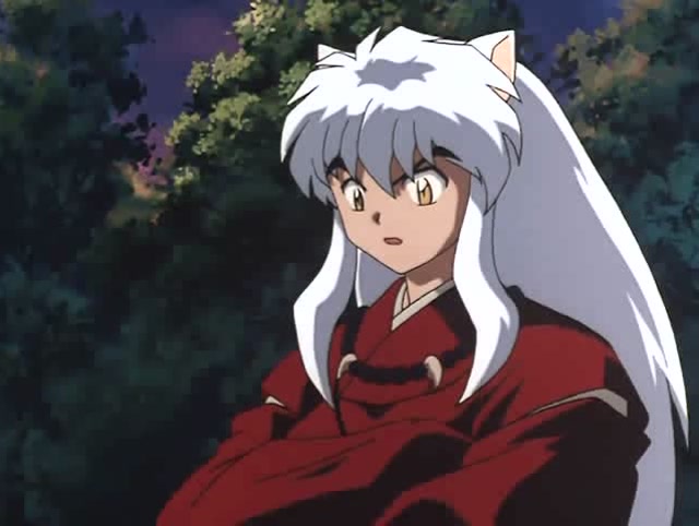 枫我还没死呢犬夜叉我只是把你藏起来