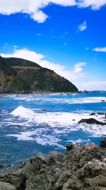 去鲸鱼湾旅游,遗憾的是没有看到鲸鱼,不过景色还是相当不错的
