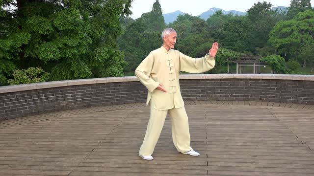 奚氏-骑龙步游刺掌,马步架打,翻压掌弓步平切动作讲解